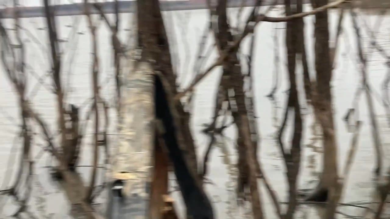 Kansas Duck Hunt