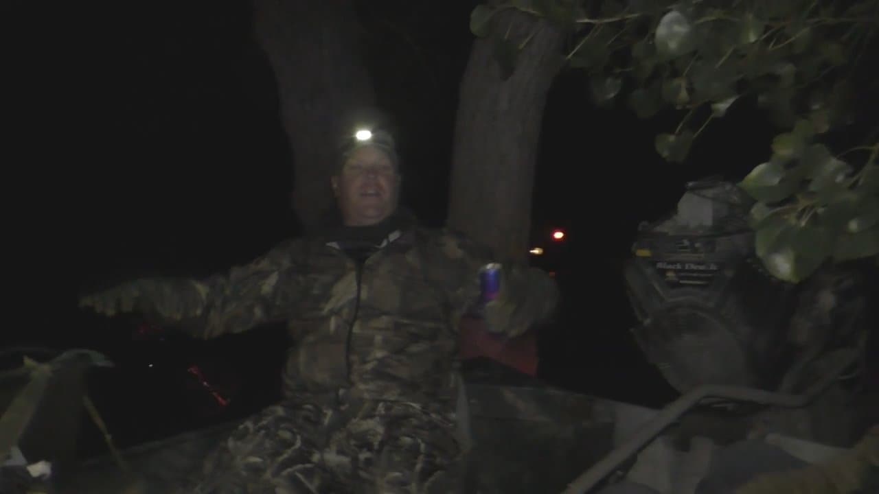 Lost Footage - November Mallards