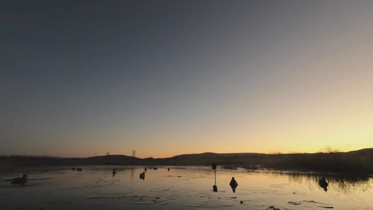 Solo Hunt on Ice