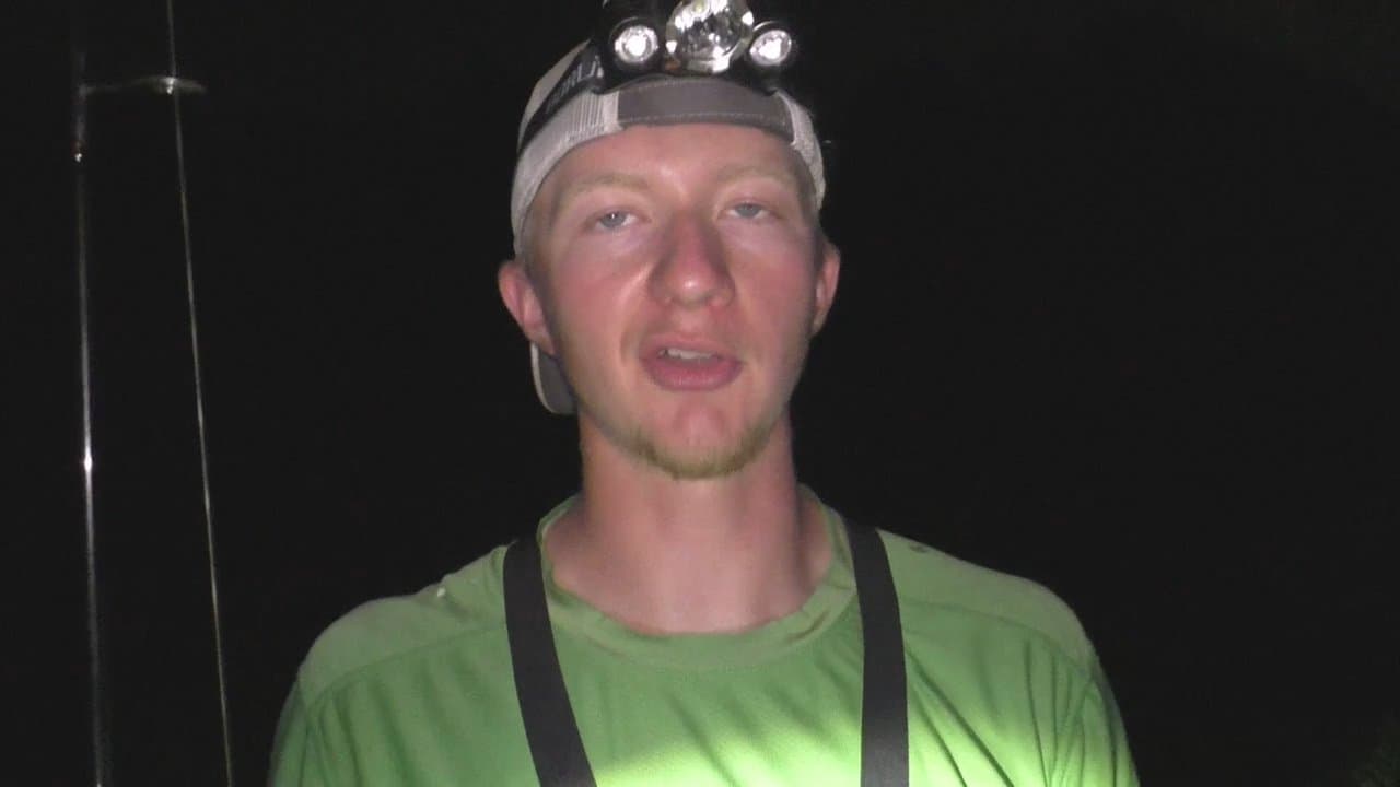 Frog Hunt