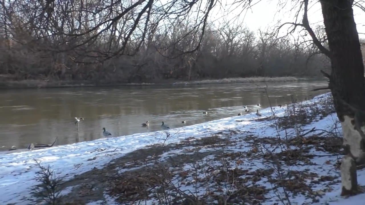 Casual River Duck Hunt
