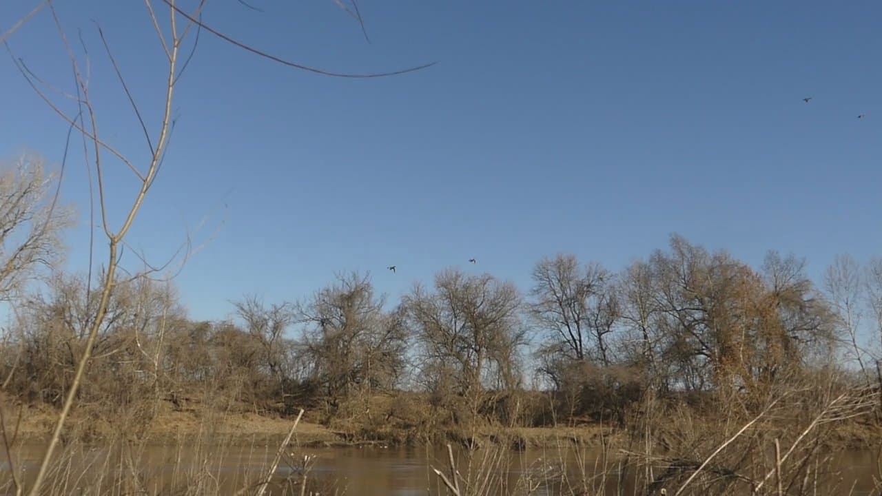 Running the River