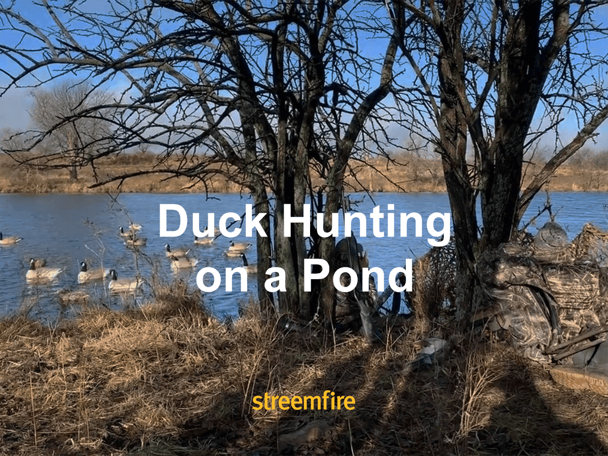 Mastering Small Water: Essential Tips for Duck Hunting on a Pond