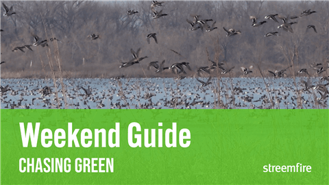 Weekend Guide for Duck Hunting