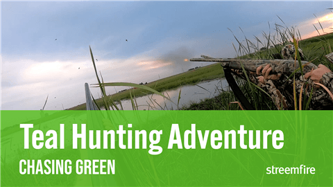 Teal Hunting Adventure