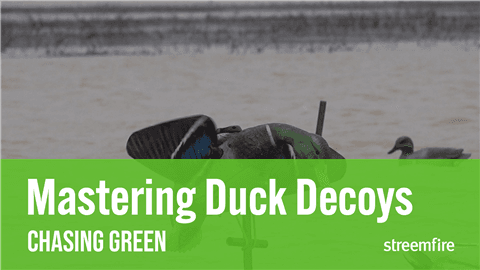 Mastering Duck Decoys