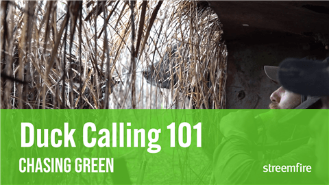 Duck Calling 101