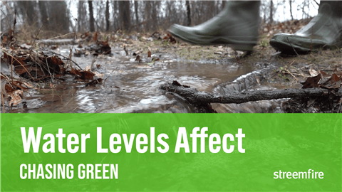 Water Levels Affect on Duck Hunting