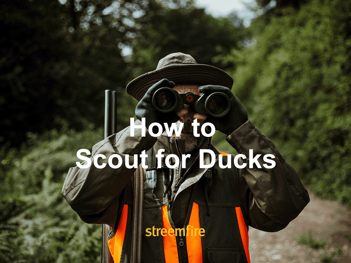 A Comprehensive Guide to Duck Scouting